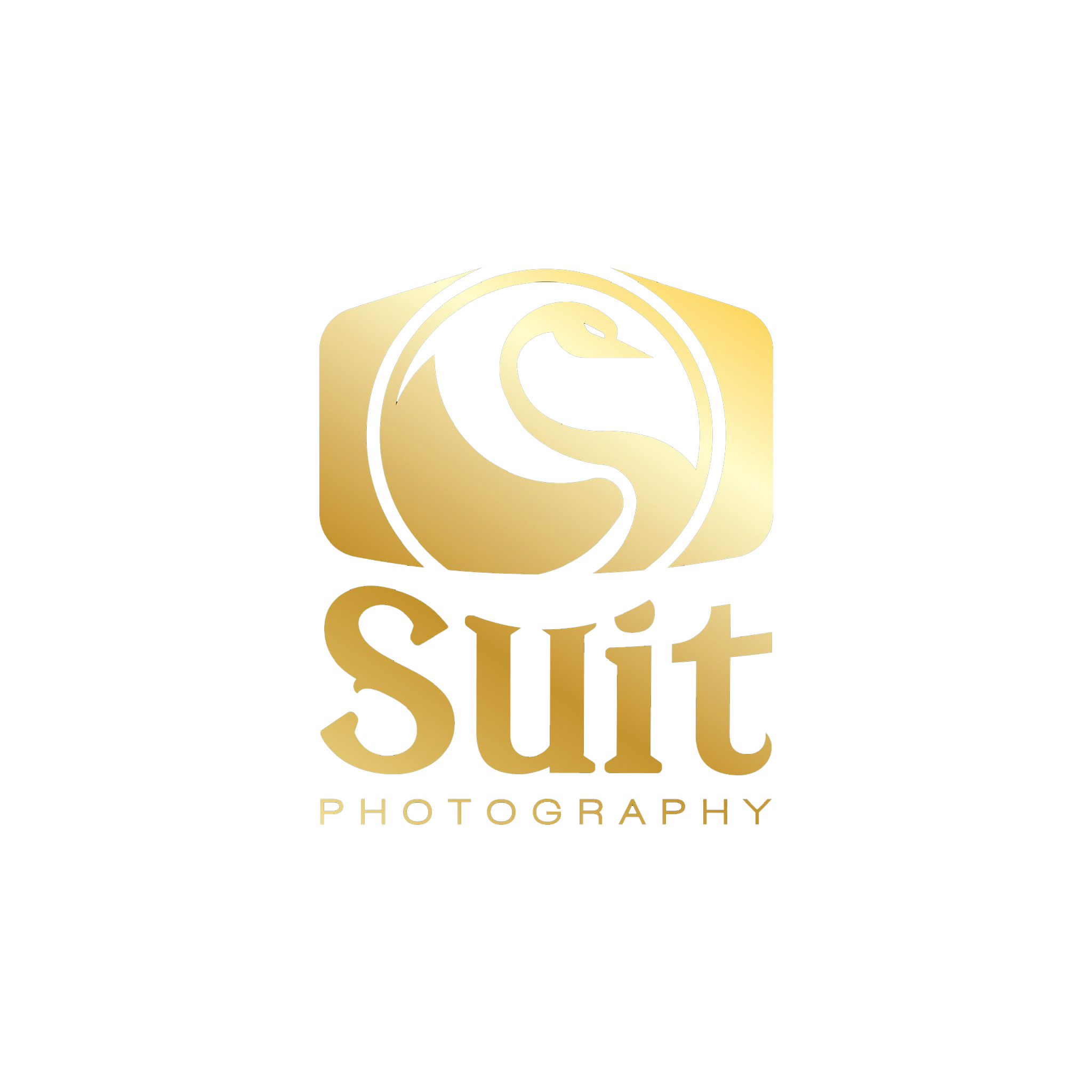 Suit Photography